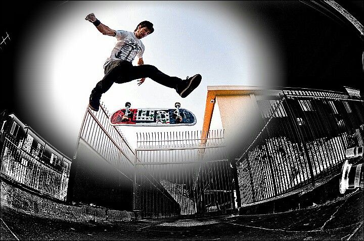 Chris Cole